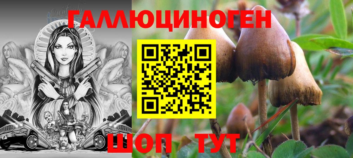 Галлюциногенные грибы MAGIC MUSHROOMS Воткинск